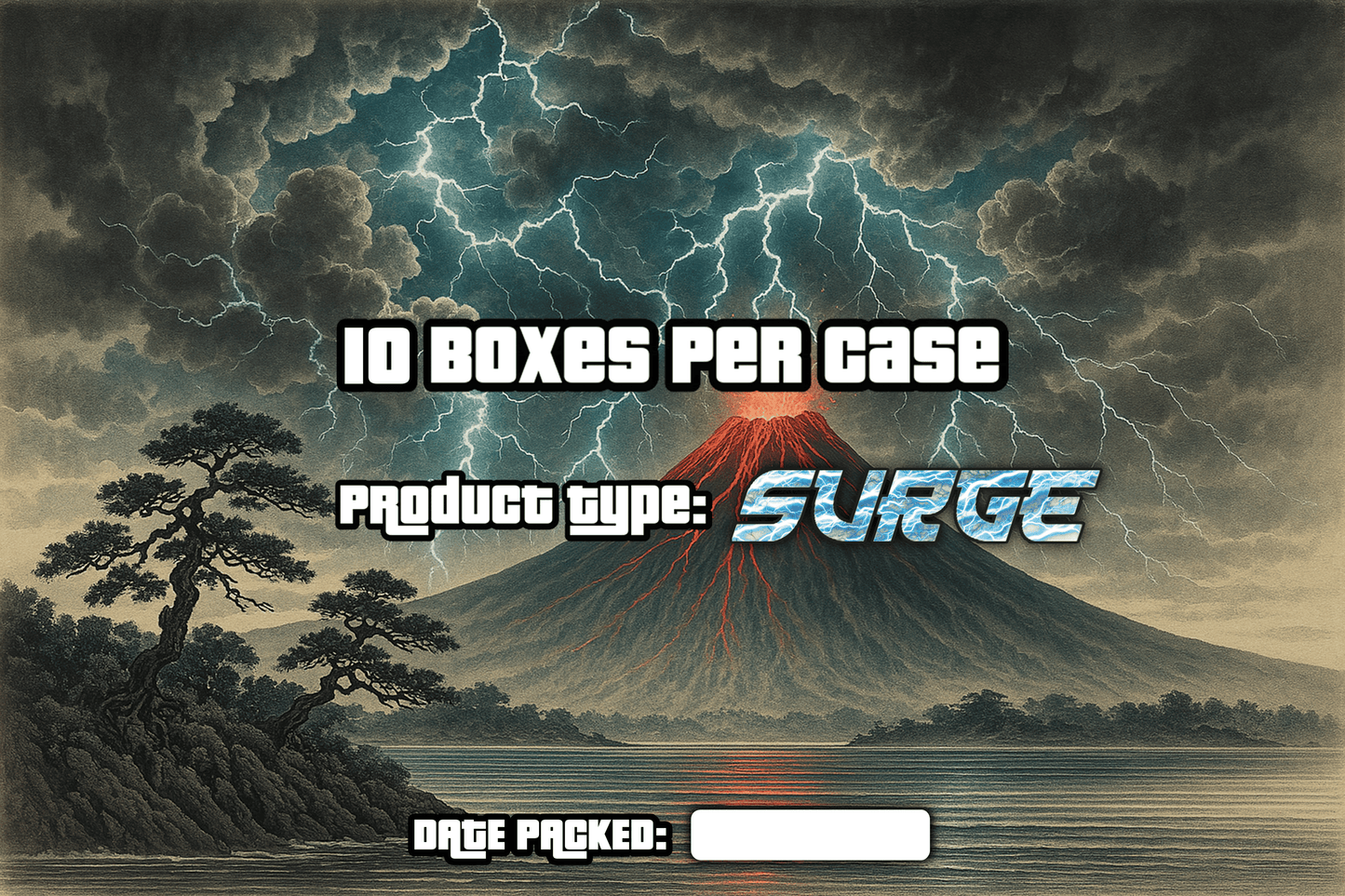 Mint City Elements TCG Surge Mystery 10-Box Case